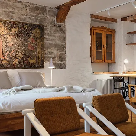 Historic With Private Garden In Old Town Tallin